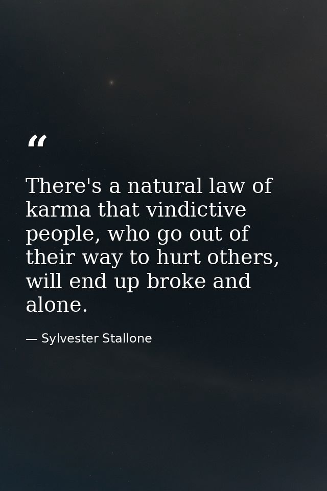 There's a natural law of karma that vindictive people, who go out of their way to hurt others, will end up broke and alo — Sylvester Stallone