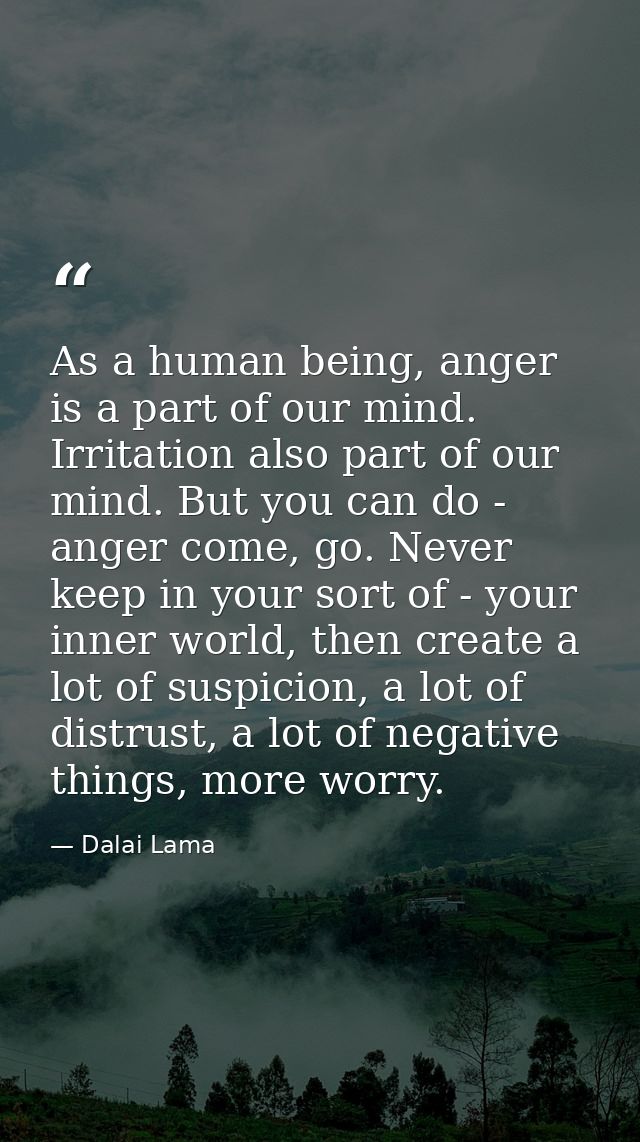 As a human being, anger is a part of our mind. Irritation also part of our mind. But you can do - anger come, go. Never  — Dalai Lama