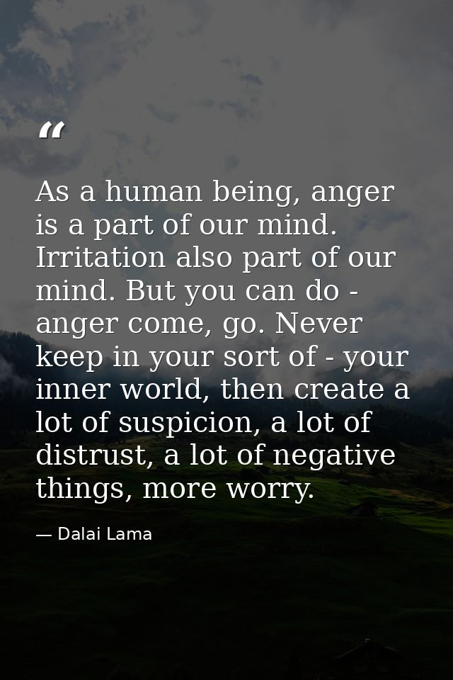 As a human being, anger is a part of our mind. Irritation also part of our mind. But you can do - anger come, go. Never  — Dalai Lama