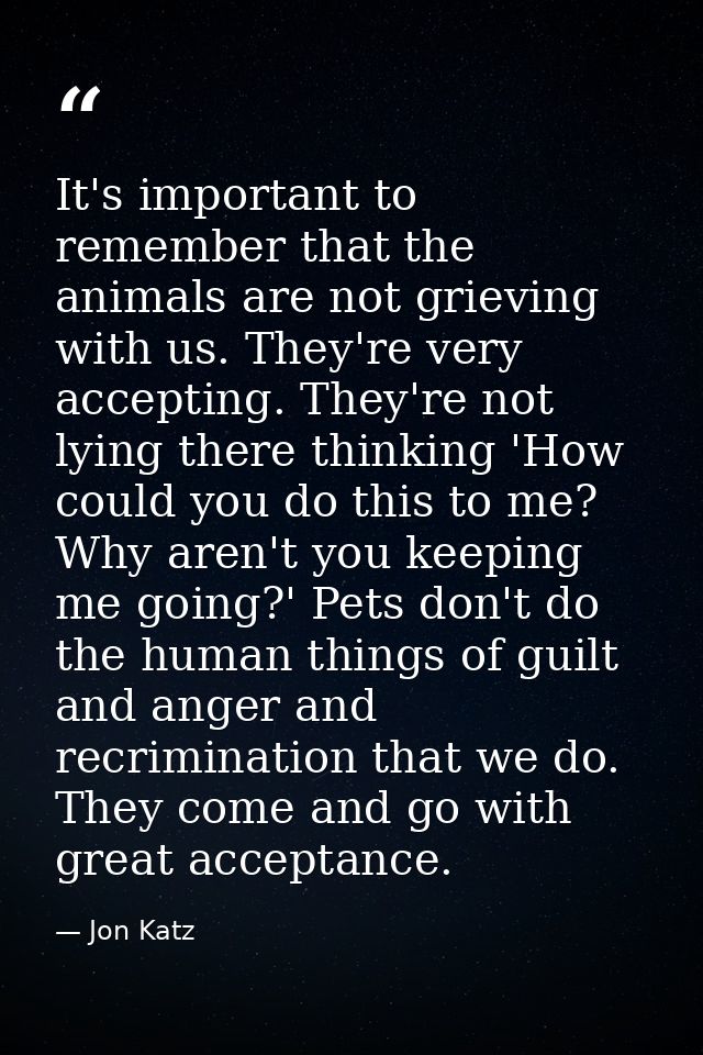It's important to remember that the animals are not grieving with us. They're very accepting. They're not lying there th — Jon Katz
