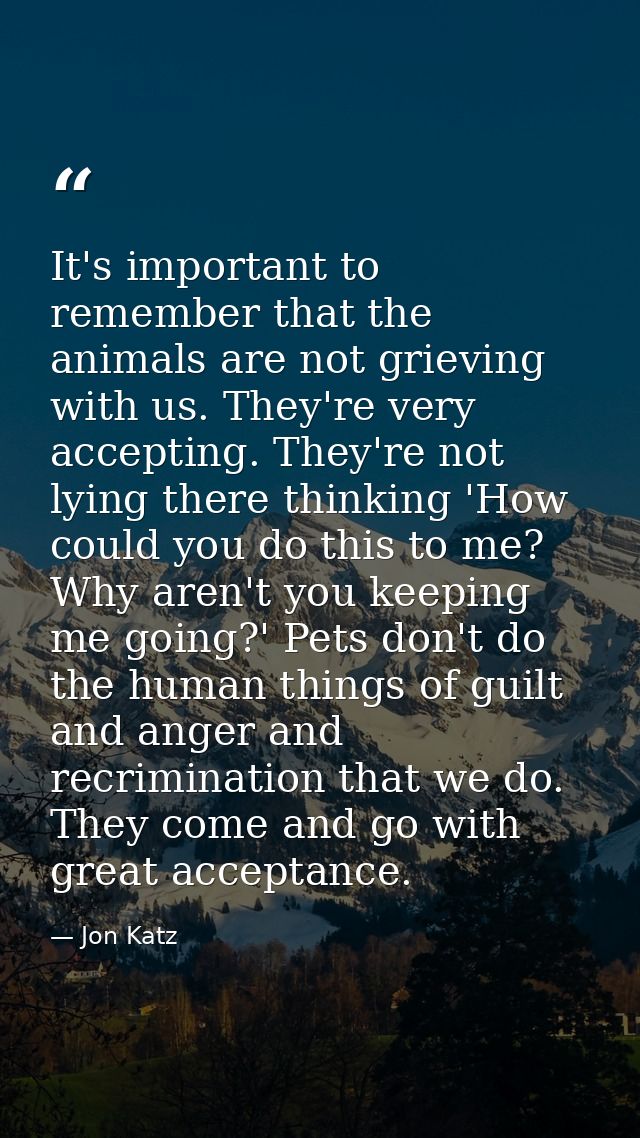 It's important to remember that the animals are not grieving with us. They're very accepting. They're not lying there th — Jon Katz