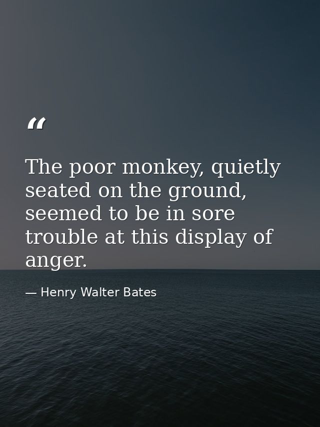 The poor monkey, quietly seated on the ground, seemed to be in sore trouble at this display of anger. — Henry Walter Bates