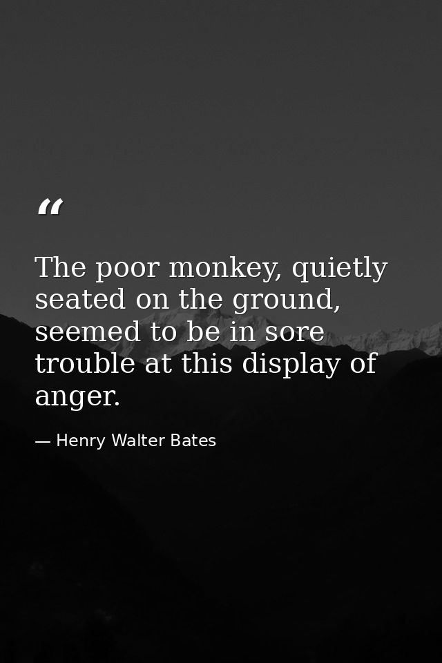 The poor monkey, quietly seated on the ground, seemed to be in sore trouble at this display of anger. — Henry Walter Bates