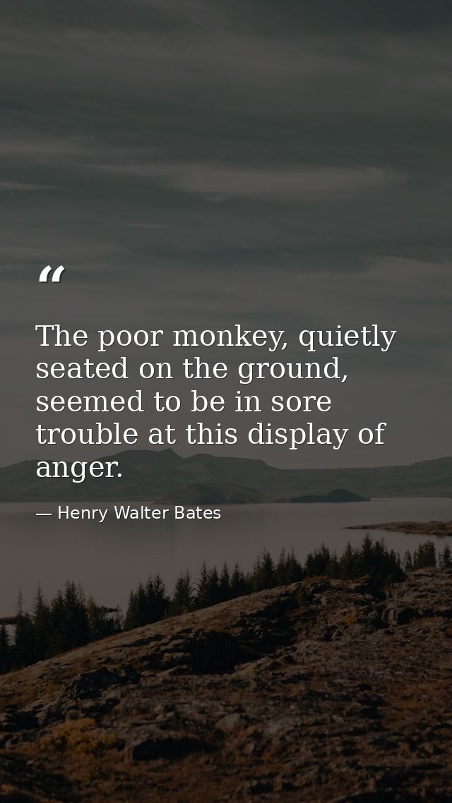 The poor monkey, quietly seated on the ground, seemed to be in sore trouble at this display of anger. — Henry Walter Bates