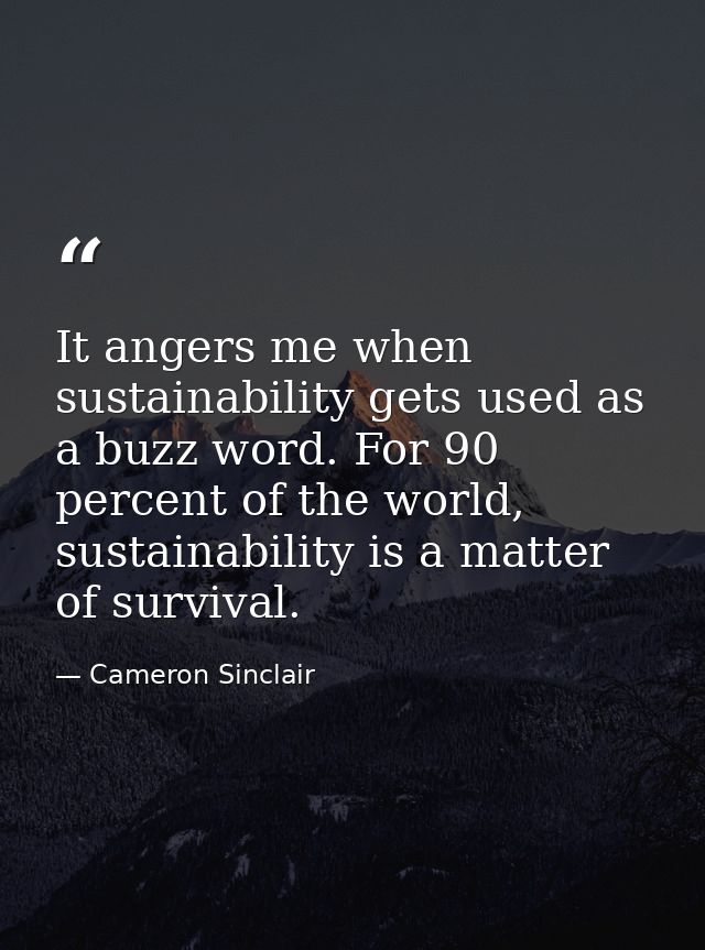 It angers me when sustainability gets used as a buzz word. For 90 percent of the world, sustainability is a matter of su — Cameron Sinclair