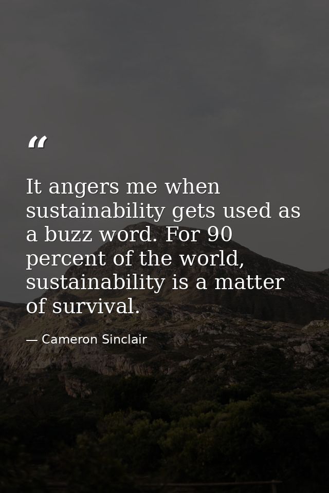 It angers me when sustainability gets used as a buzz word. For 90 percent of the world, sustainability is a matter of su — Cameron Sinclair