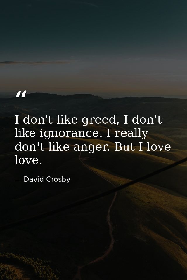 I don't like greed, I don't like ignorance. I really don't like anger. But I love love. — David Crosby