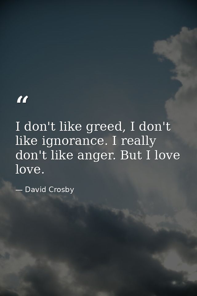 I don't like greed, I don't like ignorance. I really don't like anger. But I love love. — David Crosby