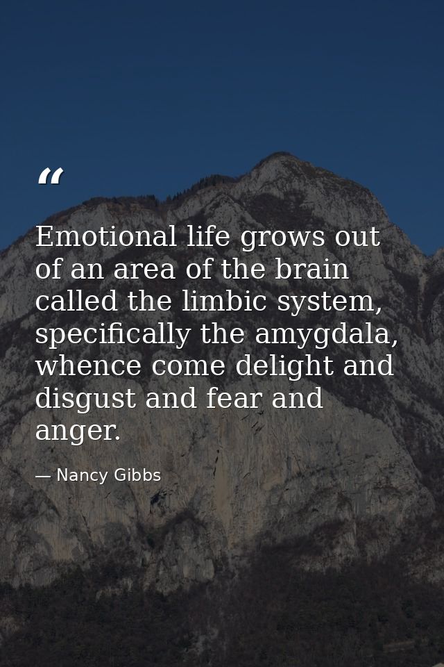 Emotional life grows out of an area of the brain called the limbic system, specifically the amygdala, whence come deligh — Nancy Gibbs