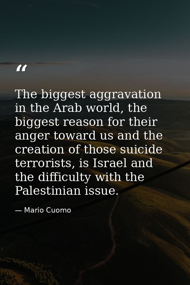 The biggest aggravation in the Arab world, the biggest reason for their anger toward us and the creation of those suicid — Mario Cuomo