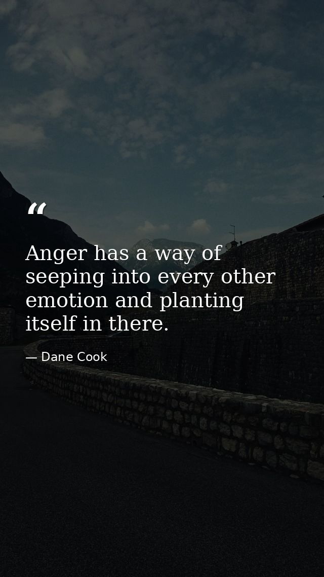 Anger has a way of seeping into every other emotion and planting itself in there. — Dane Cook