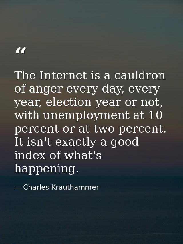 The Internet is a cauldron of anger every day, every year, election year or not, with unemployment at 10 percent or at t — Charles Krauthammer