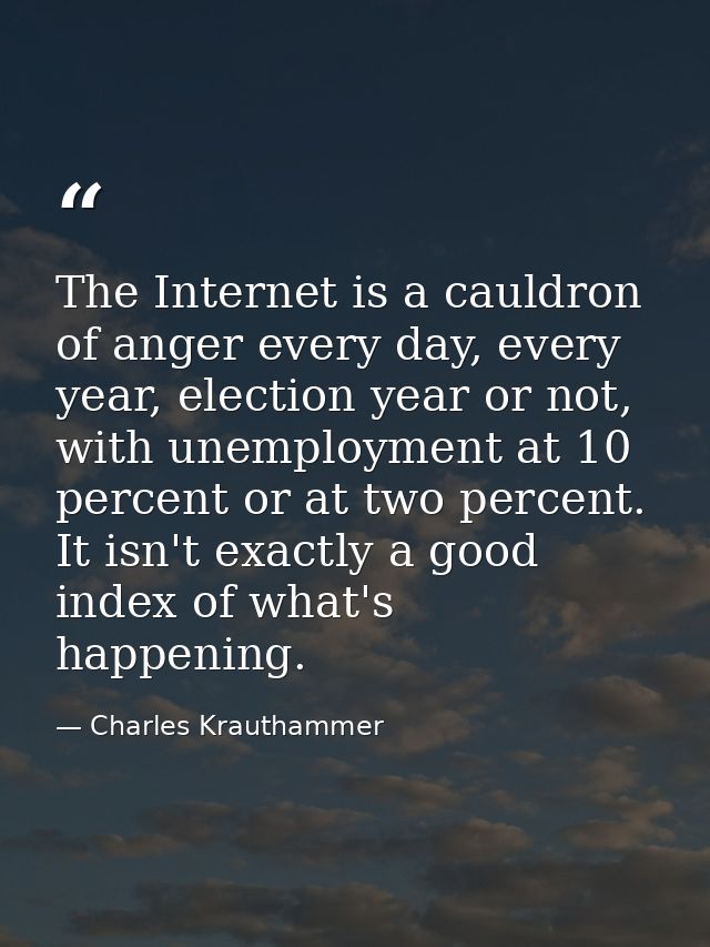 The Internet is a cauldron of anger every day, every year, election year or not, with unemployment at 10 percent or at t — Charles Krauthammer