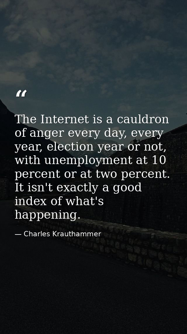 The Internet is a cauldron of anger every day, every year, election year or not, with unemployment at 10 percent or at t — Charles Krauthammer
