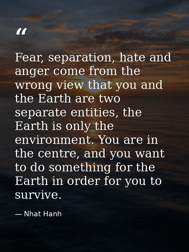 Fear, separation, hate and anger come from the wrong view that you and the Earth are two separate entities, the Earth is — Nhat Hanh