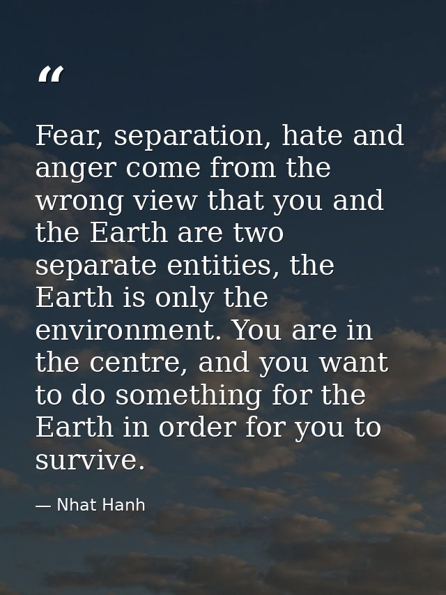Fear, separation, hate and anger come from the wrong view that you and the Earth are two separate entities, the Earth is — Nhat Hanh