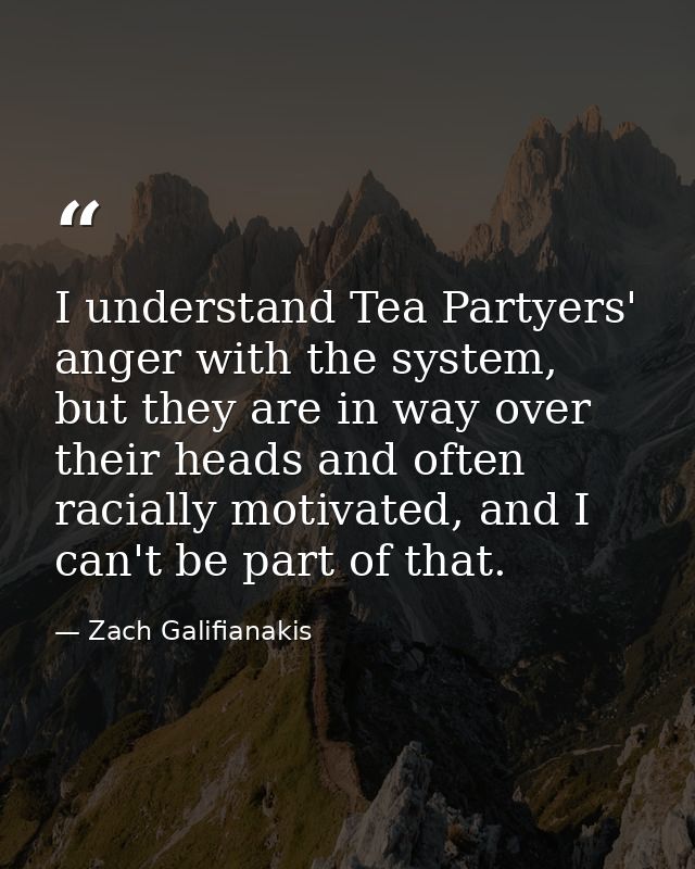 I understand Tea Partyers' anger with the system, but they are in way over their heads and often racially motivated, and — Zach Galifianakis
