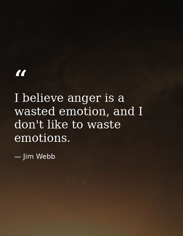 I believe anger is a wasted emotion, and I don't like to waste emotions. — Jim Webb
