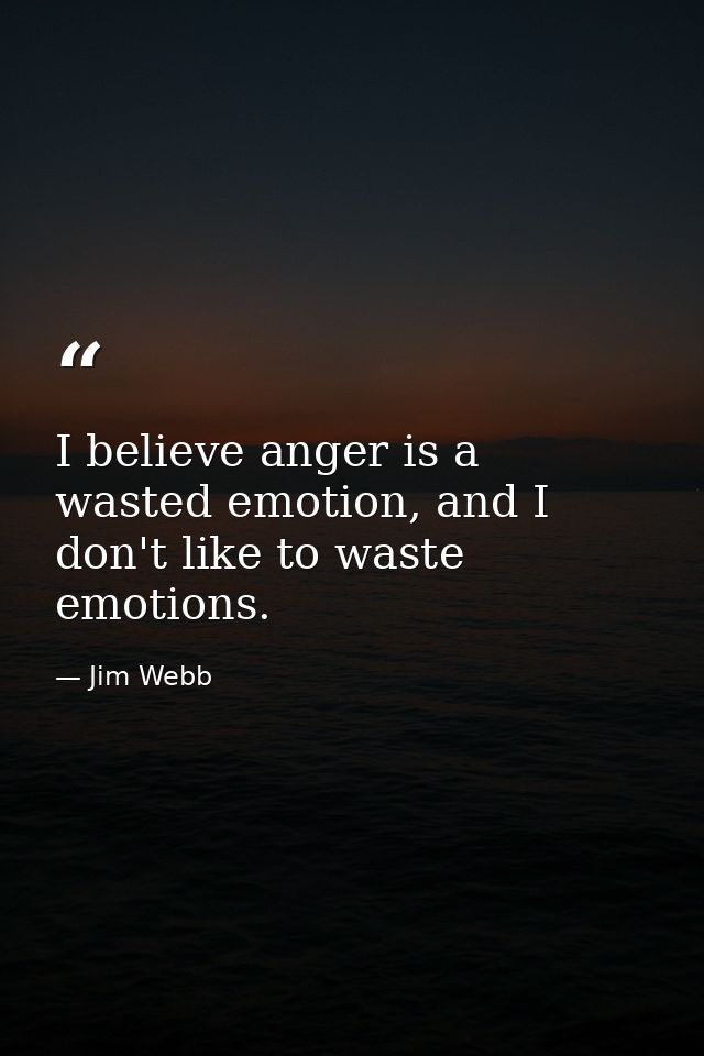 I believe anger is a wasted emotion, and I don't like to waste emotions. — Jim Webb