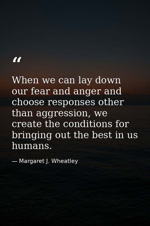 When we can lay down our fear and anger and choose responses other than aggression, we create the conditions for bringin — Margaret J. Wheatley