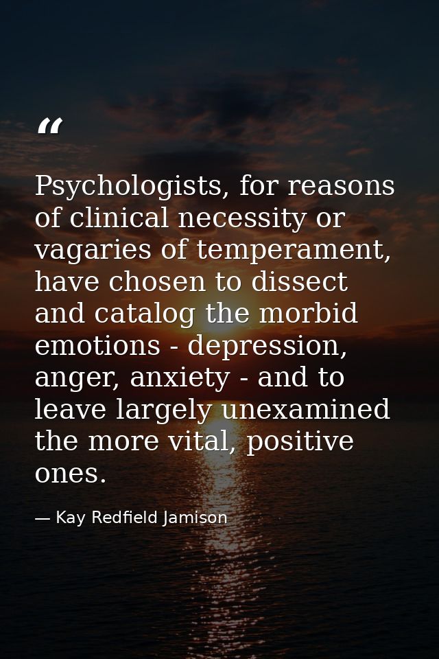 Psychologists, for reasons of clinical necessity or vagaries of temperament, have chosen to dissect and catalog the morb — Kay Redfield Jamison
