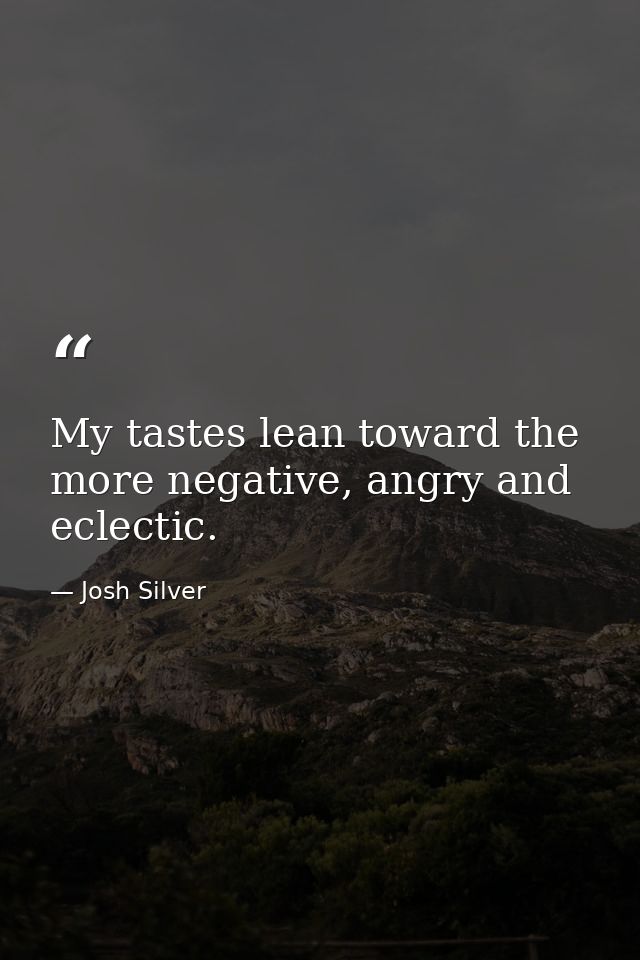 My tastes lean toward the more negative, angry and eclectic. — Josh Silver