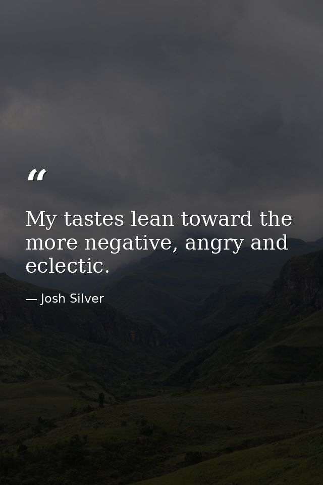 My tastes lean toward the more negative, angry and eclectic. — Josh Silver