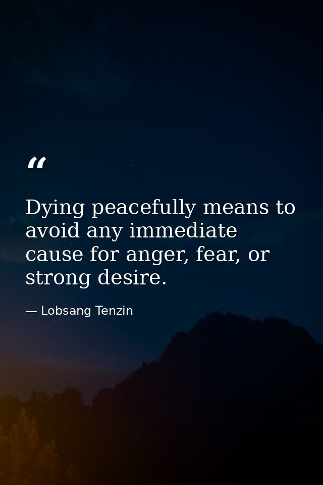 Dying peacefully means to avoid any immediate cause for anger, fear, or strong desire. — Lobsang Tenzin