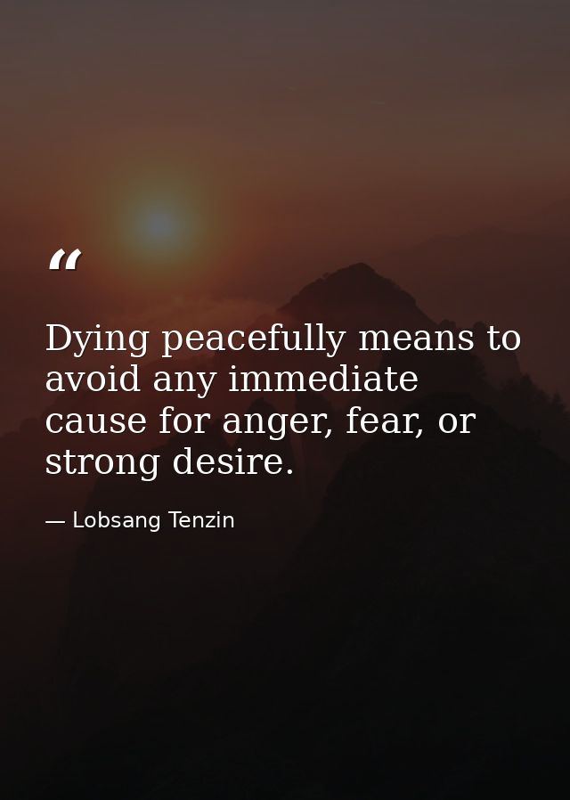 Dying peacefully means to avoid any immediate cause for anger, fear, or strong desire. — Lobsang Tenzin