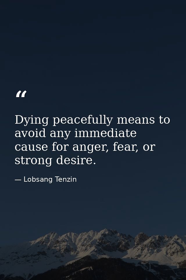 Dying peacefully means to avoid any immediate cause for anger, fear, or strong desire. — Lobsang Tenzin