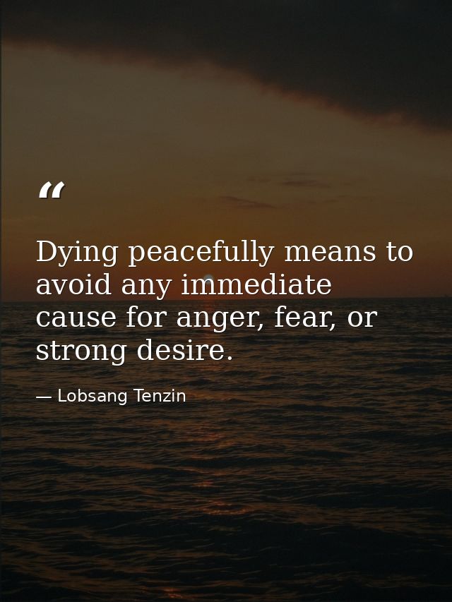 Dying peacefully means to avoid any immediate cause for anger, fear, or strong desire. — Lobsang Tenzin