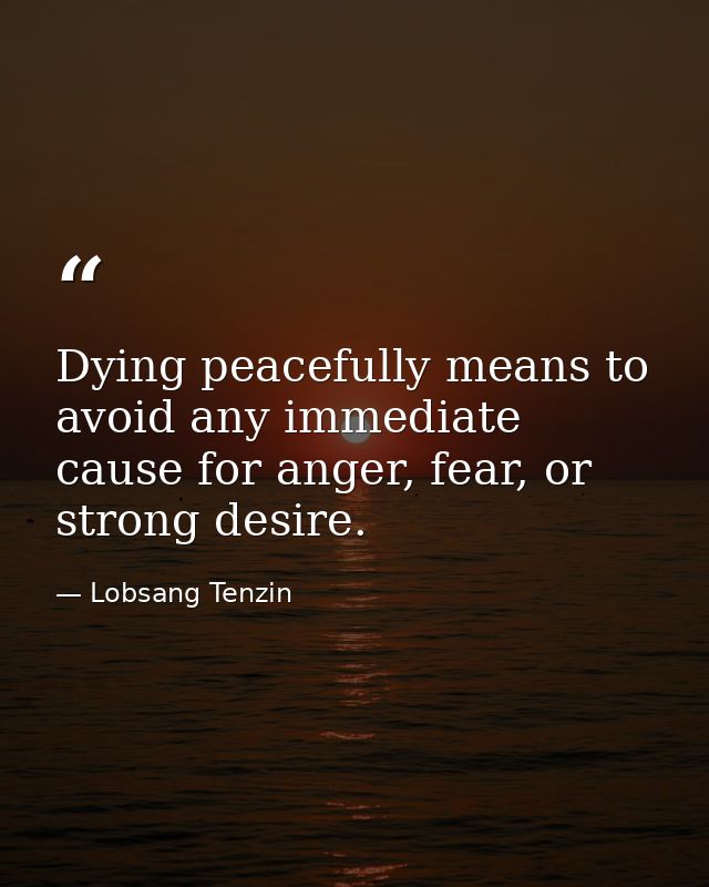 Dying peacefully means to avoid any immediate cause for anger, fear, or strong desire. — Lobsang Tenzin