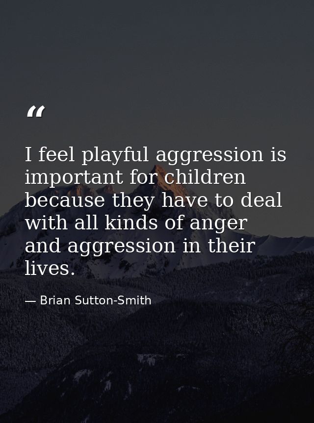 I feel playful aggression is important for children because they have to deal with all kinds of anger and aggression in  — Brian Sutton-Smith