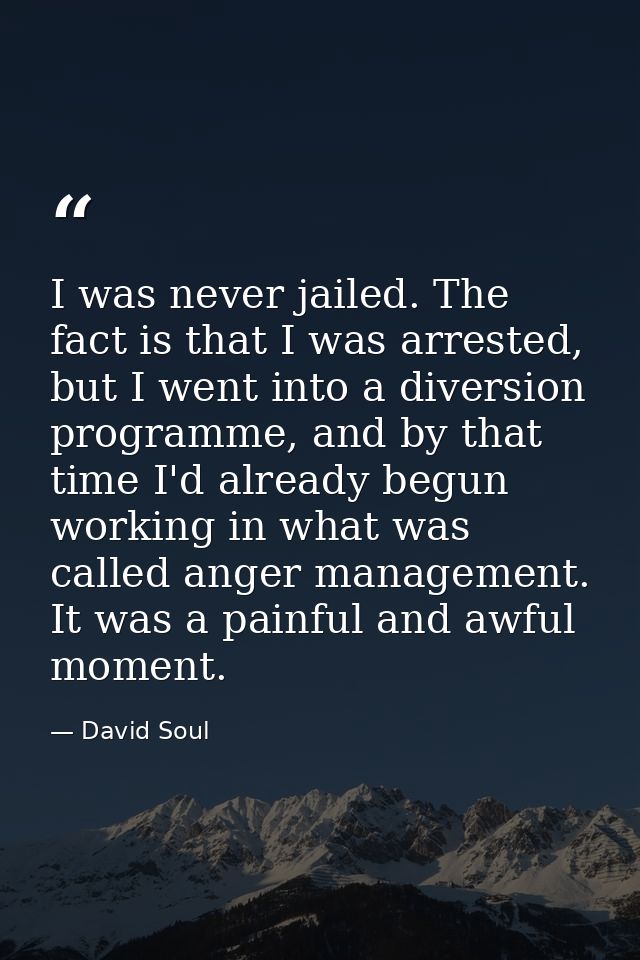 I was never jailed. The fact is that I was arrested, but I went into a diversion programme, and by that time I'd already — David Soul