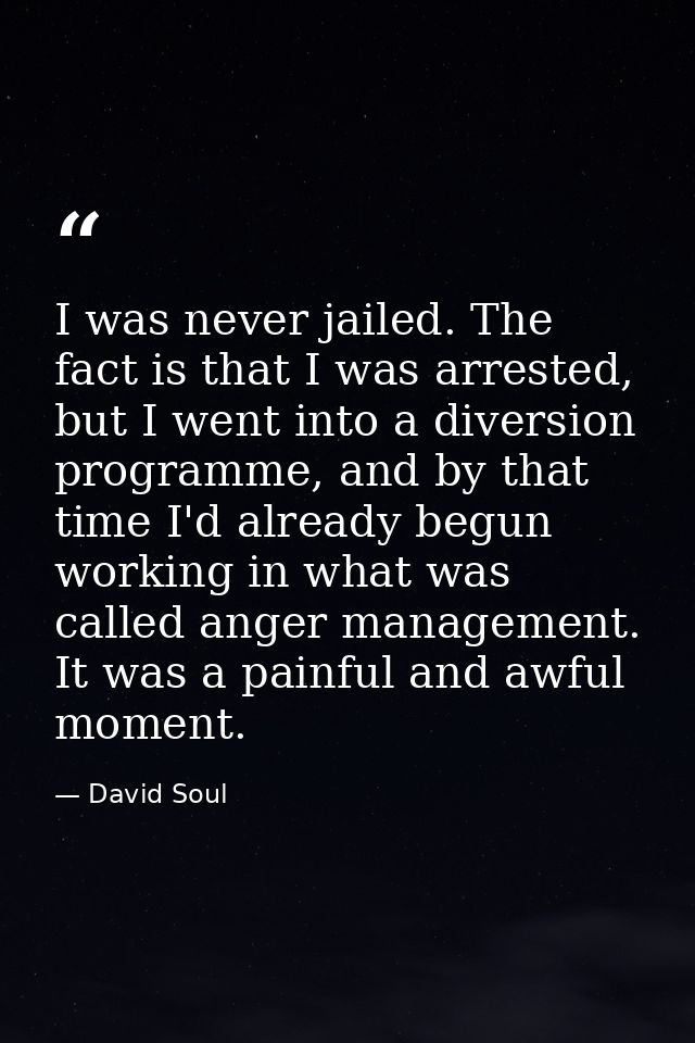I was never jailed. The fact is that I was arrested, but I went into a diversion programme, and by that time I'd already — David Soul