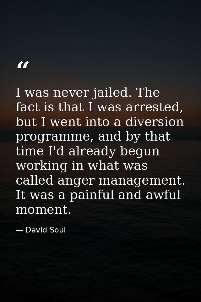 I was never jailed. The fact is that I was arrested, but I went into a diversion programme, and by that time I'd already — David Soul