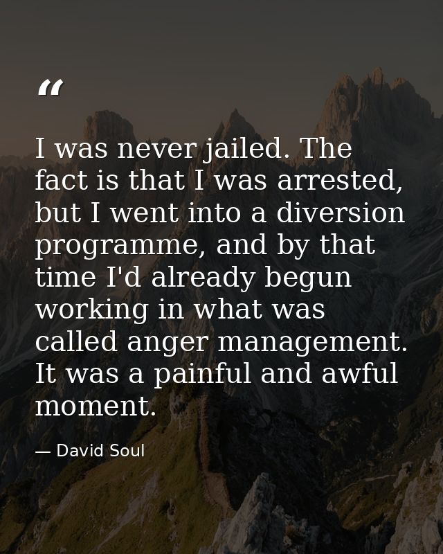 I was never jailed. The fact is that I was arrested, but I went into a diversion programme, and by that time I'd already — David Soul