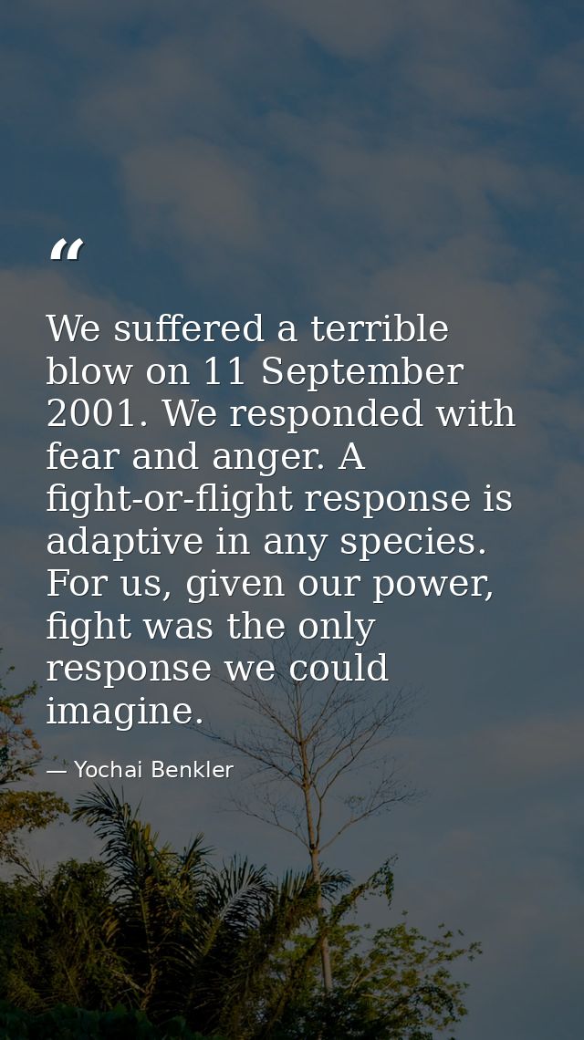 We suffered a terrible blow on 11 September 2001. We responded with fear and anger. A fight-or-flight response is adapti — Yochai Benkler