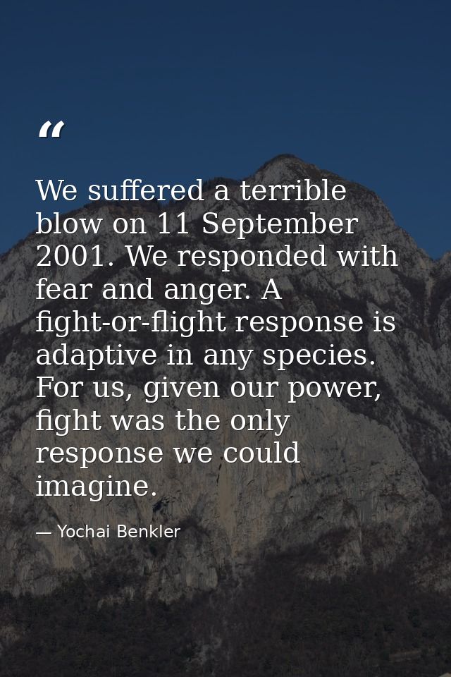 We suffered a terrible blow on 11 September 2001. We responded with fear and anger. A fight-or-flight response is adapti — Yochai Benkler