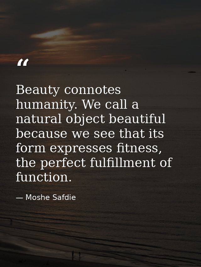Beauty connotes humanity. We call a natural object beautiful because we see that its form expresses fitness, the perfect — Moshe Safdie