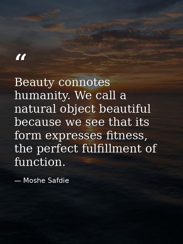 Beauty connotes humanity. We call a natural object beautiful because we see that its form expresses fitness, the perfect — Moshe Safdie