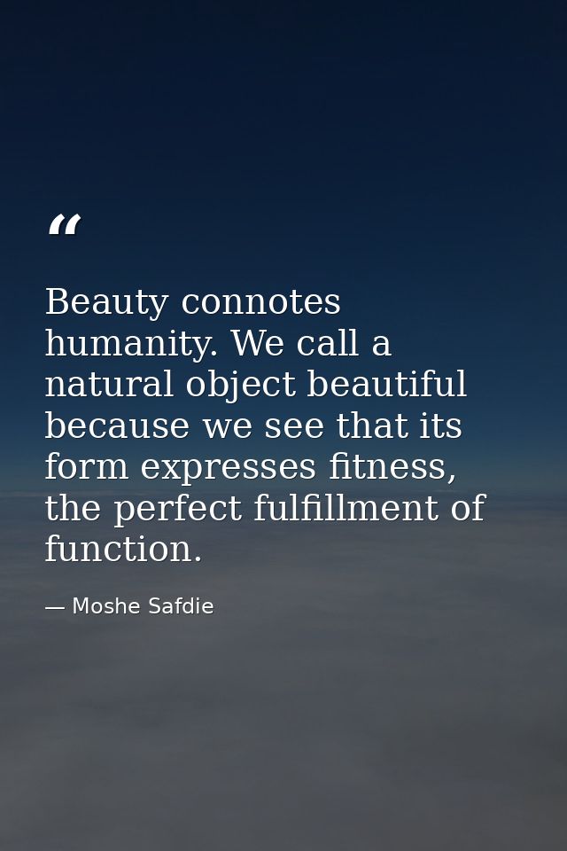 Beauty connotes humanity. We call a natural object beautiful because we see that its form expresses fitness, the perfect — Moshe Safdie