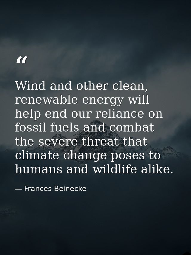 Wind and other clean, renewable energy will help end our reliance on fossil fuels and combat the severe threat that clim — Frances Beinecke