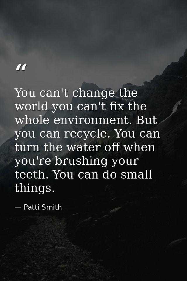 You can't change the world you can't fix the whole environment. But you can recycle. You can turn the water off when you — Patti Smith