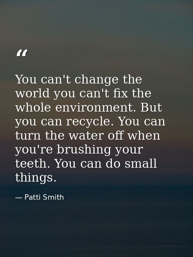 You can't change the world you can't fix the whole environment. But you can recycle. You can turn the water off when you — Patti Smith