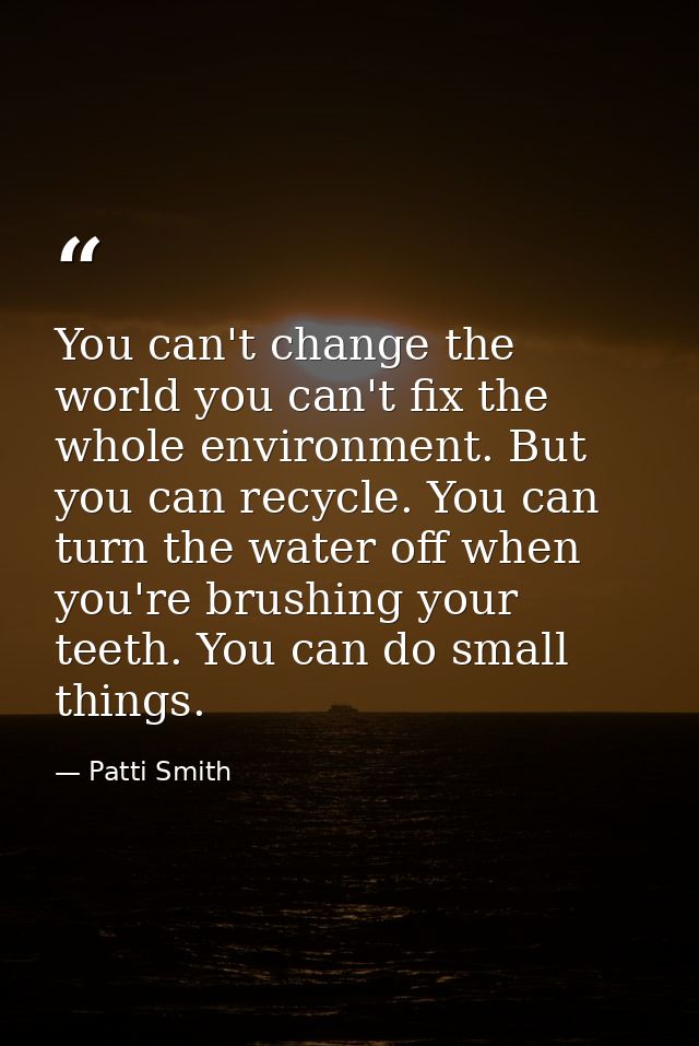 You can't change the world you can't fix the whole environment. But you can recycle. You can turn the water off when you — Patti Smith
