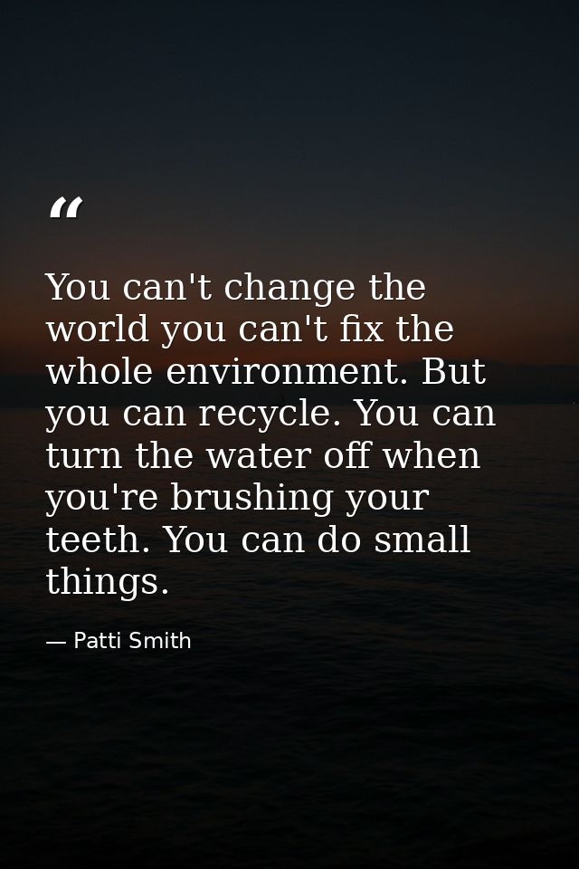 You can't change the world you can't fix the whole environment. But you can recycle. You can turn the water off when you — Patti Smith