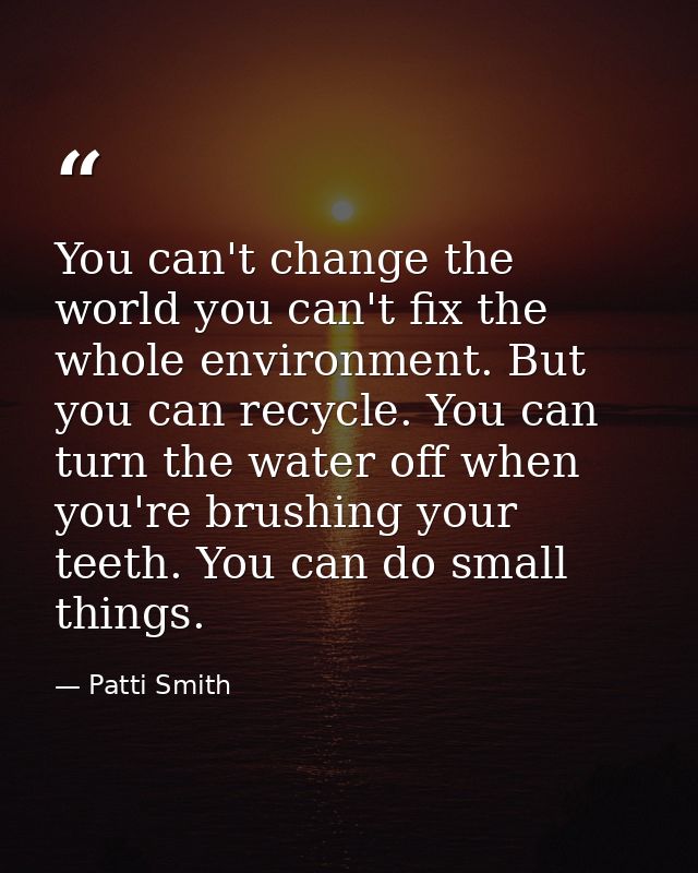 You can't change the world you can't fix the whole environment. But you can recycle. You can turn the water off when you — Patti Smith