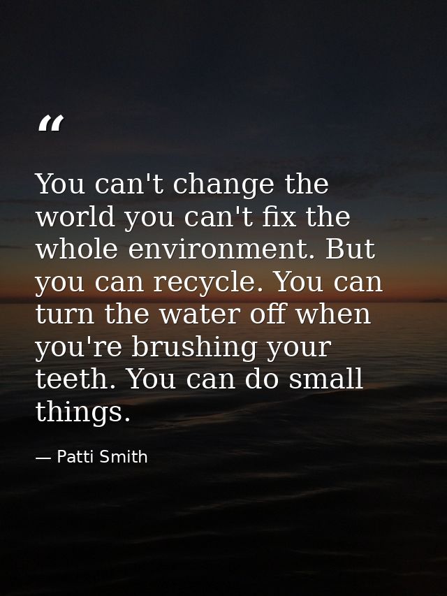You can't change the world you can't fix the whole environment. But you can recycle. You can turn the water off when you — Patti Smith