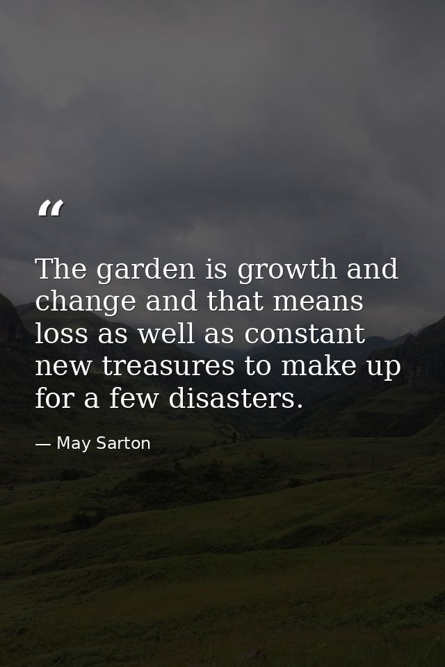 The garden is growth and change and that means loss as well as constant new treasures to make up for a few disasters. — May Sarton